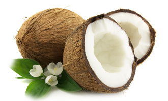 Coconut